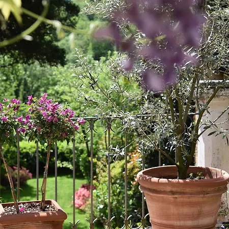 Chez Marianne Astano