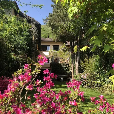 Chez Marianne 